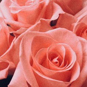 Meet your Posher, Mariana